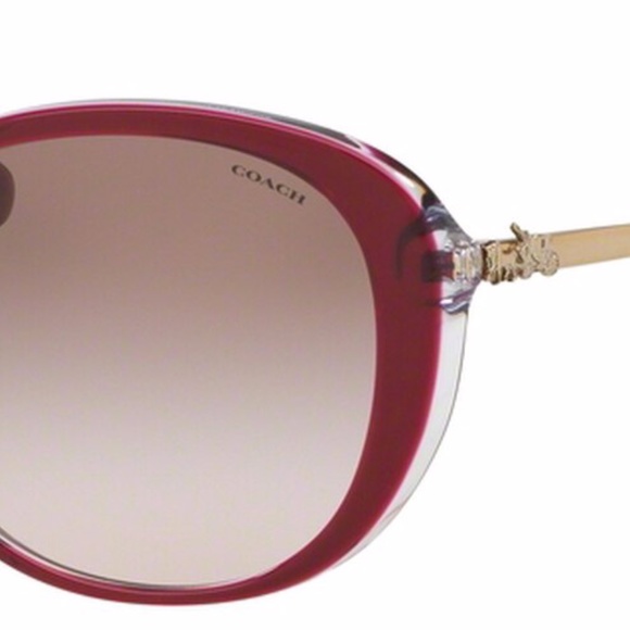 Coach Accessories - COACH Sunglasses HC8215